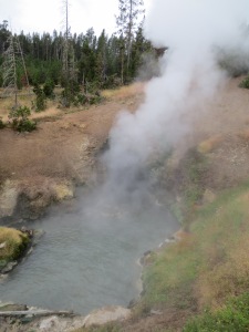 Dragons Mouth Spring, the loudest of the springs that we heard in the Mud Volcano area.