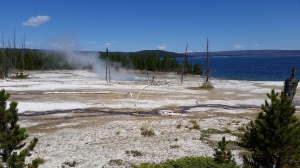 The West Thumb Geyser Basin, with Yellowstone Lake in the background. 